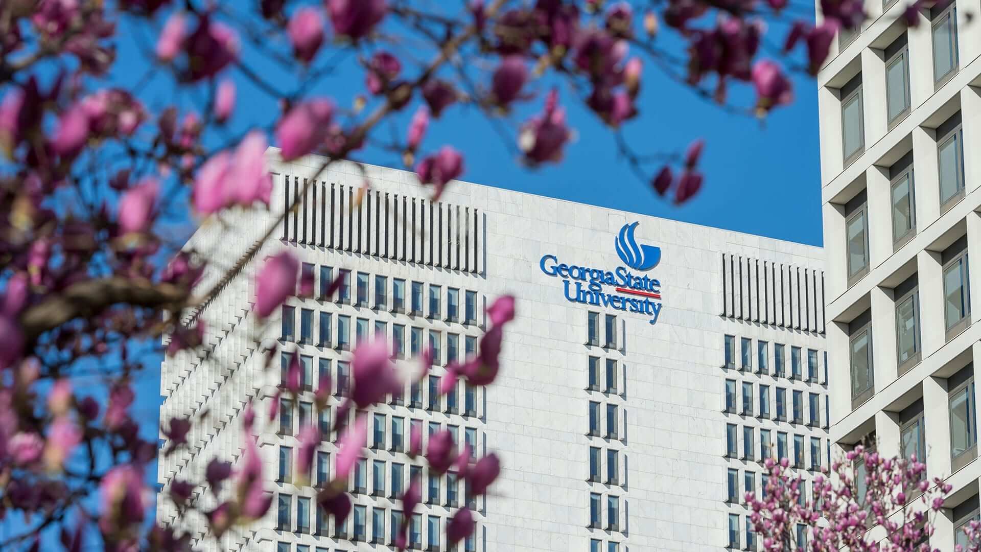 Georgia State University